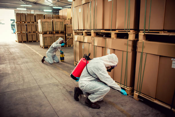 Best Cockroach Control Services  in Dadeville, AL