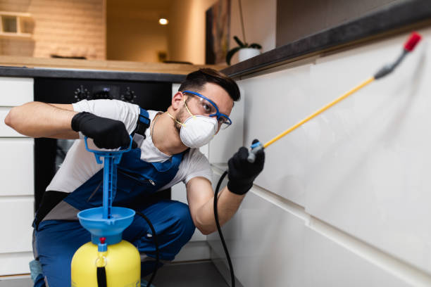 Best Pest Inspection Near Me  in Dadeville, AL