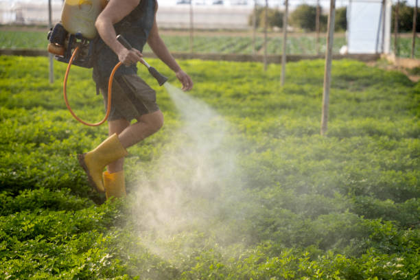 Best Pest Prevention Services  in Dadeville, AL