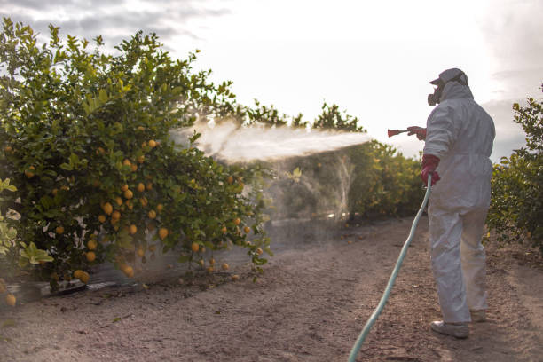 Pest Prevention Services in Dadeville, AL
