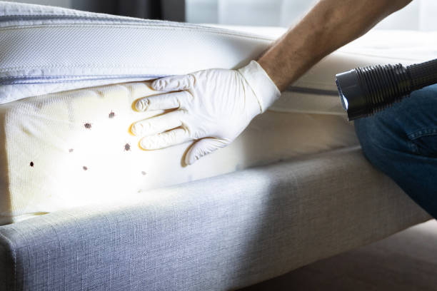 Best Mosquito Control Services  in Dadeville, AL