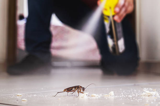 Trusted Dadeville, AL Pest Control Experts